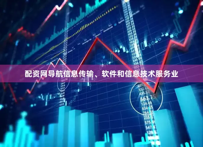 配资网导航信息传输、软件和信息技术服务业